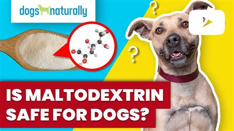 maltodextrin dogs